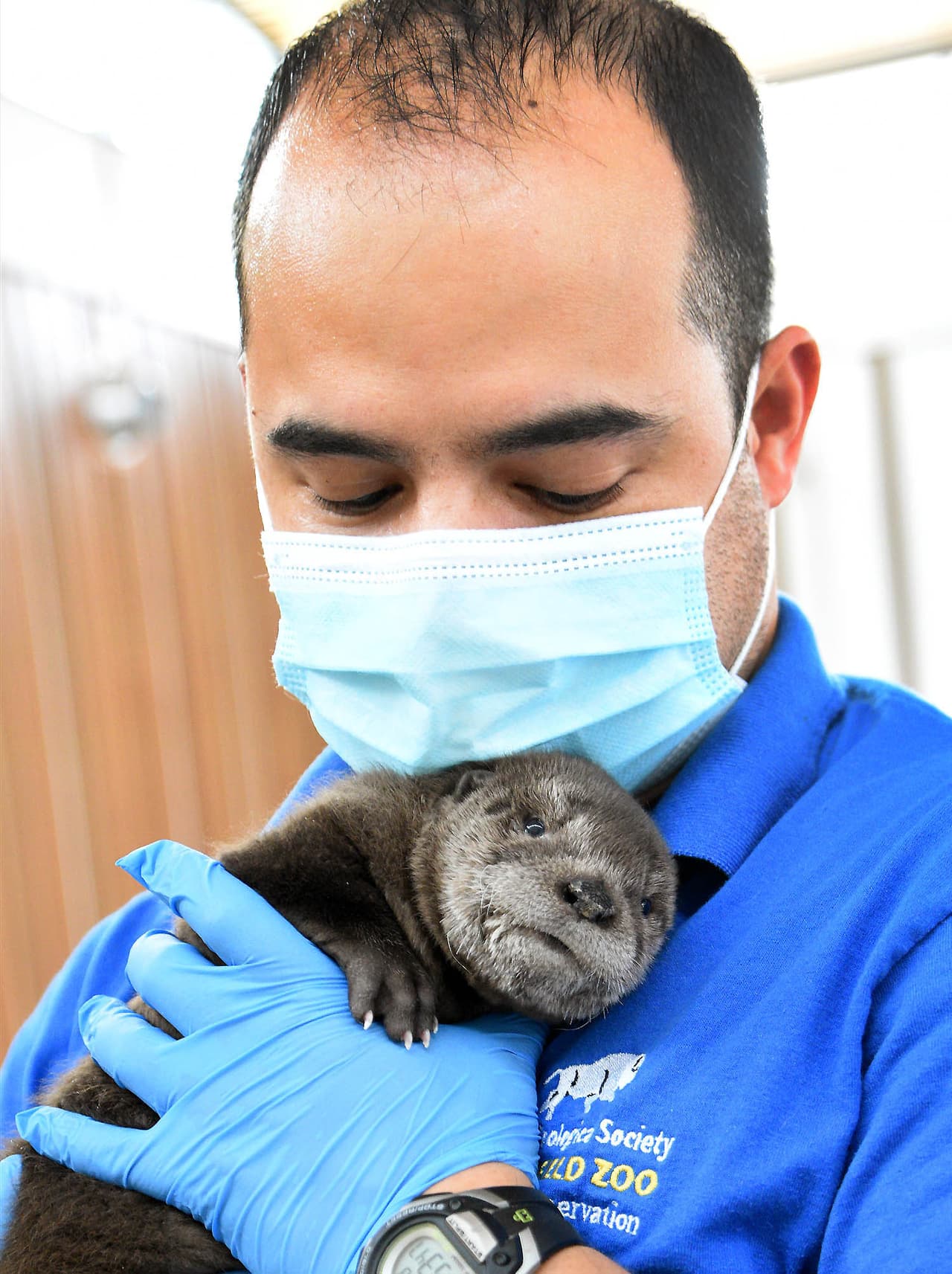 La votación terminará el lunes 15 de marzo a las 5:00 p.m., y el nombre con más votos se dará a conocer el martes 16 de marzo.