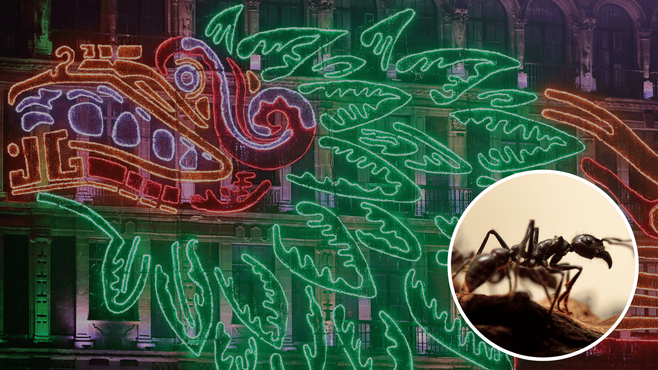 El dios Queztalcóatl se convirtió en hormiga para regalarles el maíz a los hombres, según el mito fundacional de Azcapotzalco.