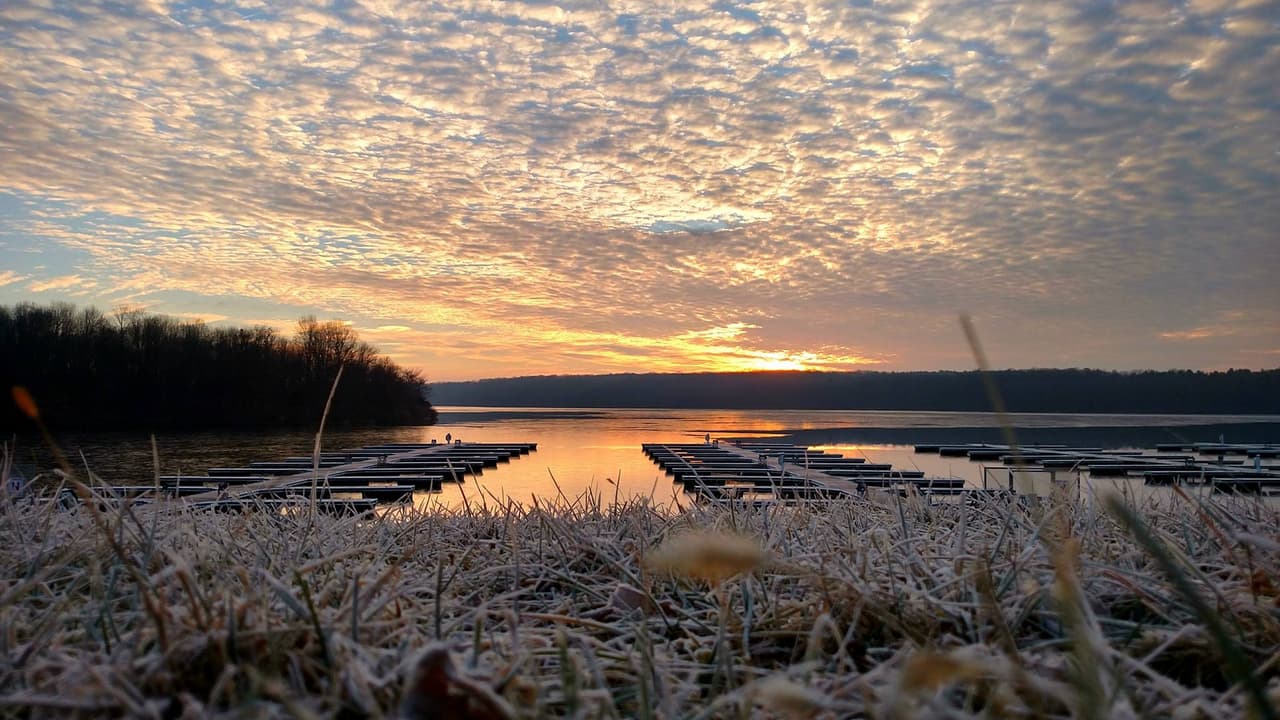 Los visitantes también pueden caminar, andar en bicicleta o montar a caballo por las más de 50 millas de varios senderos diferentes para todos, desde principiantes hasta excursionistas experimentados. Se puede pasear por bosques frondosos o explorar los restos de un campamento de verano olvidado hace mucho tiempo, disfrutar del campo de golf de disco de 18 hoyos y de la piscina.