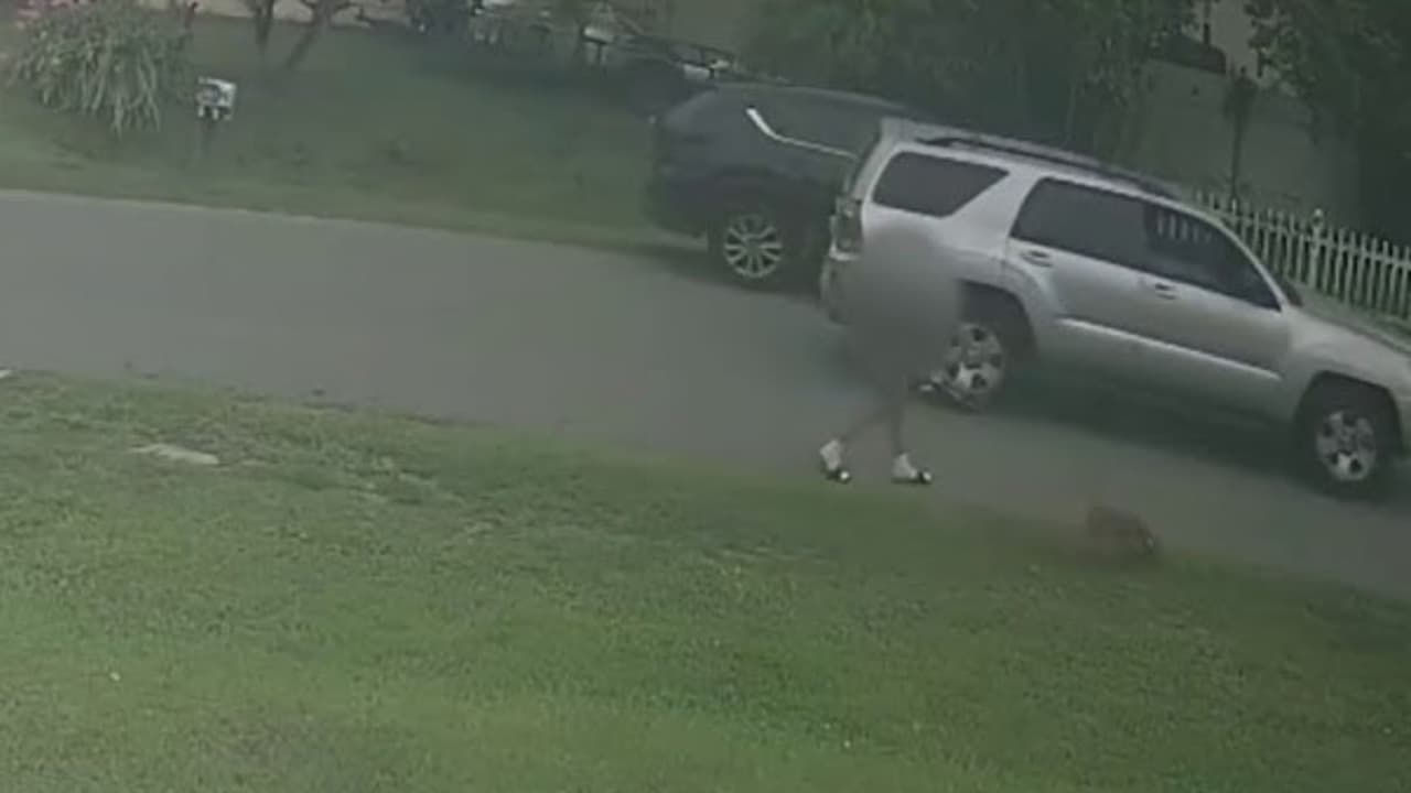 Caminaba con su perro y casi es secuestrada: buscan en el Condado de Orange al agresor armado