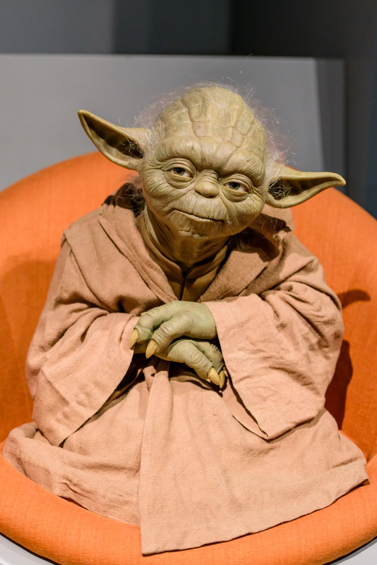 Sin su ayuda y enseñanzas Luke Skywalker no hubiera logrado ser un verdadero Jedi.