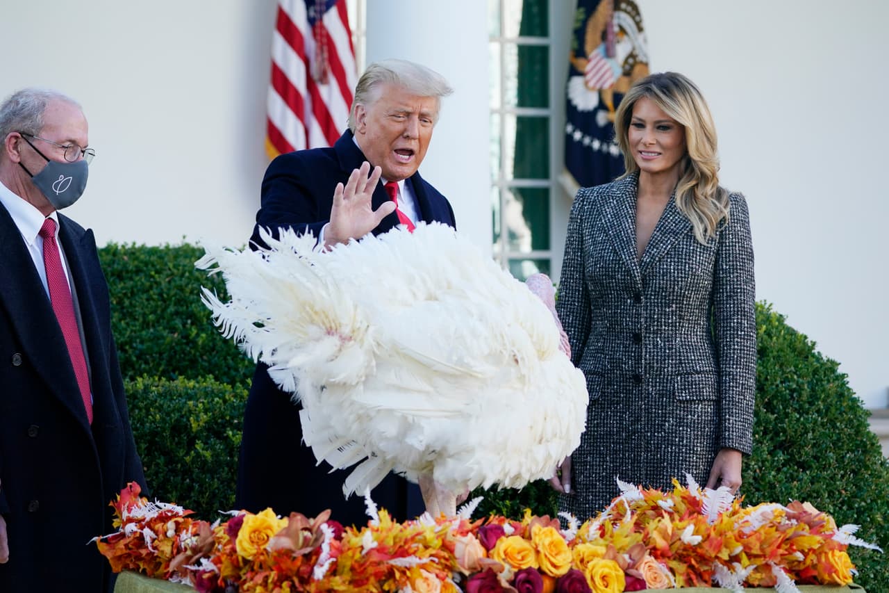El presidente
<a href="https://www.univision.com/temas/donald-trump"><u>Donald Trump</u></a>, en su última ceremonia para 'salvar' un pavo como manda la tradición presidencial de Acción de Gracias, el 24 de noviembre de 2020.
<br>
<br>En esos días el exmandatario había permitido iniciar el proceso de transición al presidente electo,
<a href="https://www.univision.com/temas/joe-biden"><u>Joe Biden</u></a>. Ese día fueron perdonadas las aves 'Maíz' y 'Mazorca'.