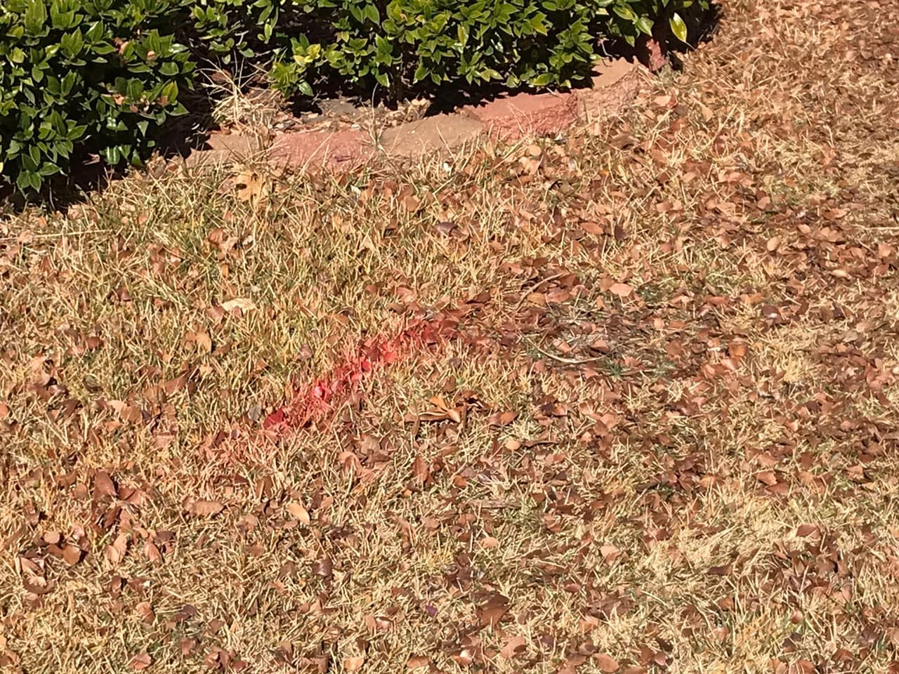 Algunos de los vecinos del área dijeron que el vecindario es sumamente tranquilo y que nunca habían tenido un problema similar.
<br>