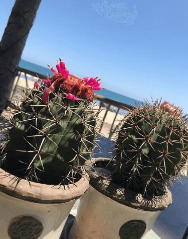 "Hermoso Nayarit, hermoso México", Karla disfrutó en grande de sus vacaciones de verano.