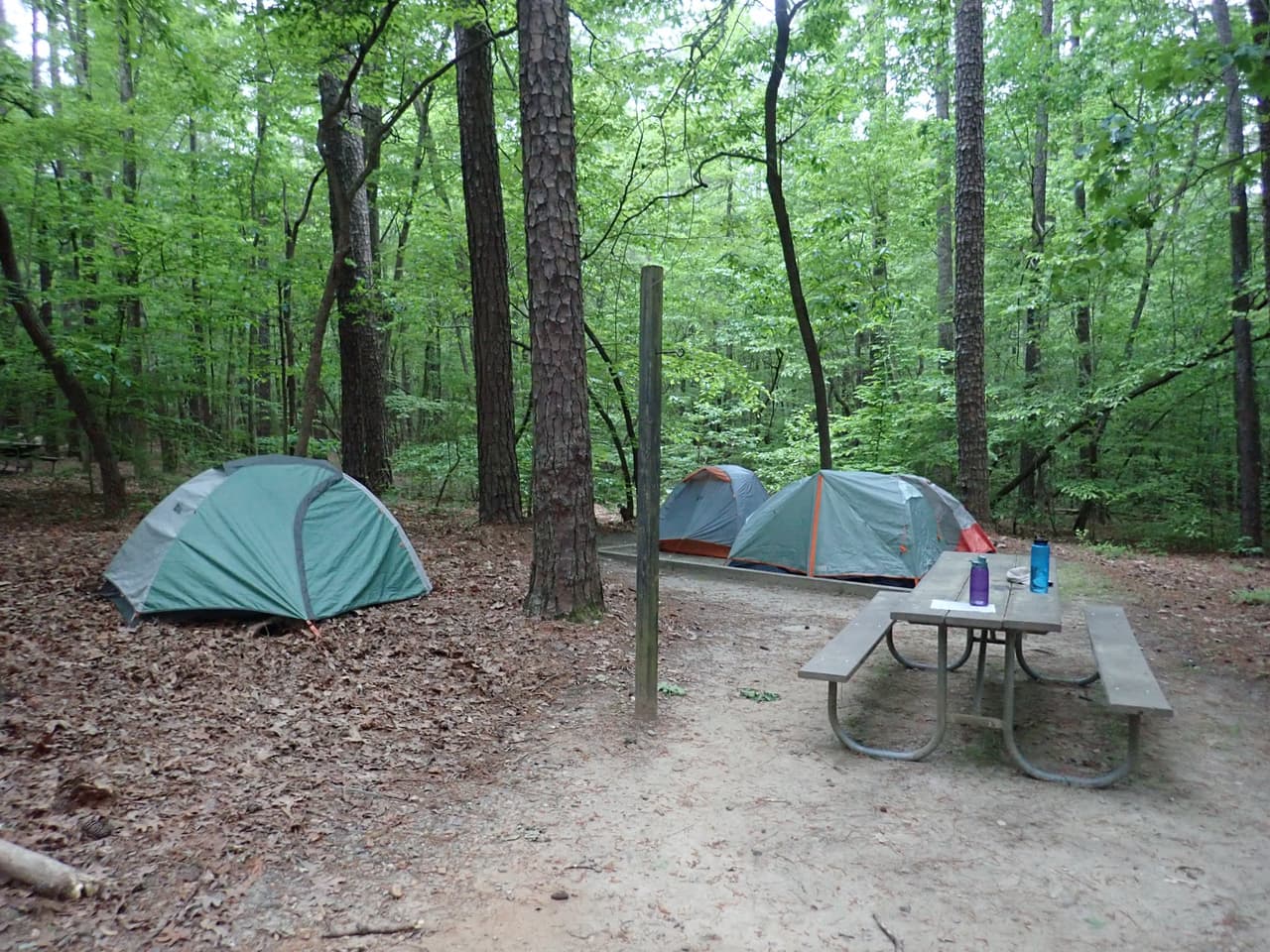Ambas entradas al parque tienen refugios para hacer pícnic y el área de Crabtree Creek ofrece áreas para acampar.