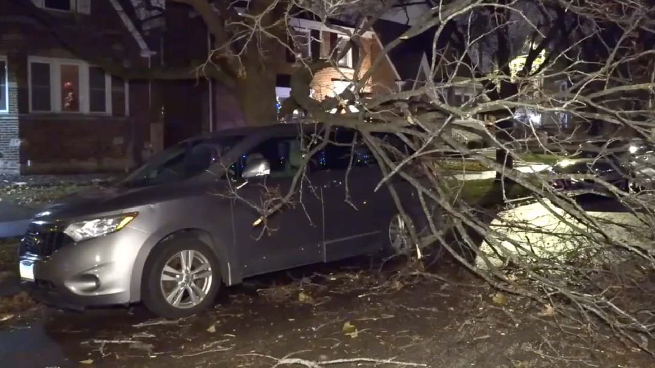 Árboles y postes caídos: viento sacude al norte de Chicago