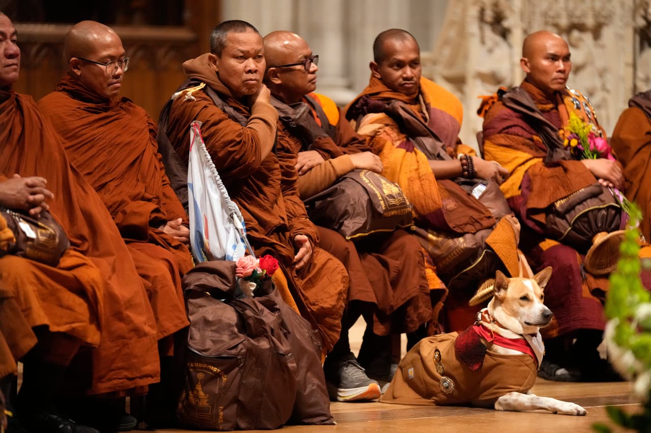La caminata no estuvo exenta de peligros. En noviembre, cerca de Houston, un camión impactó el vehículo de escolta de los monjes mientras caminaban por el acotamiento de una carretera. Dos resultaron heridos; a uno de ellos, el venerable Maha Dam Phommasan, le amputaron una pierna.