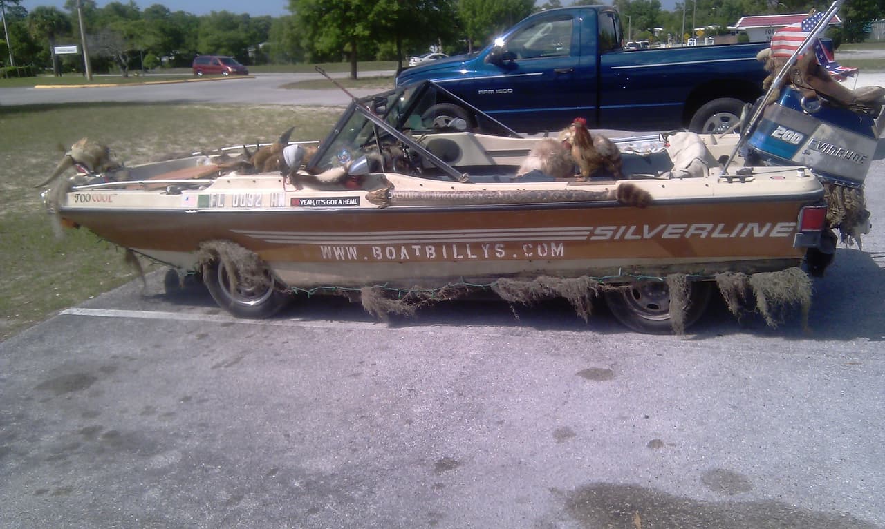 Cosas insólitas que solo se ven en Florida.