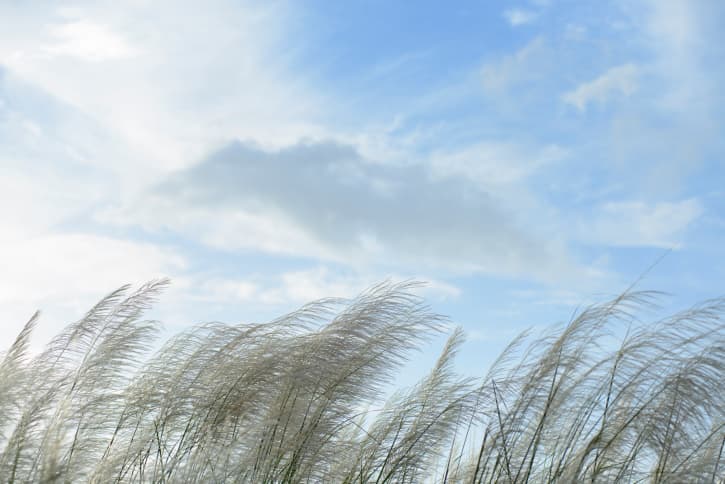 Signos de Aire (Géminis, Libra y Acuario)