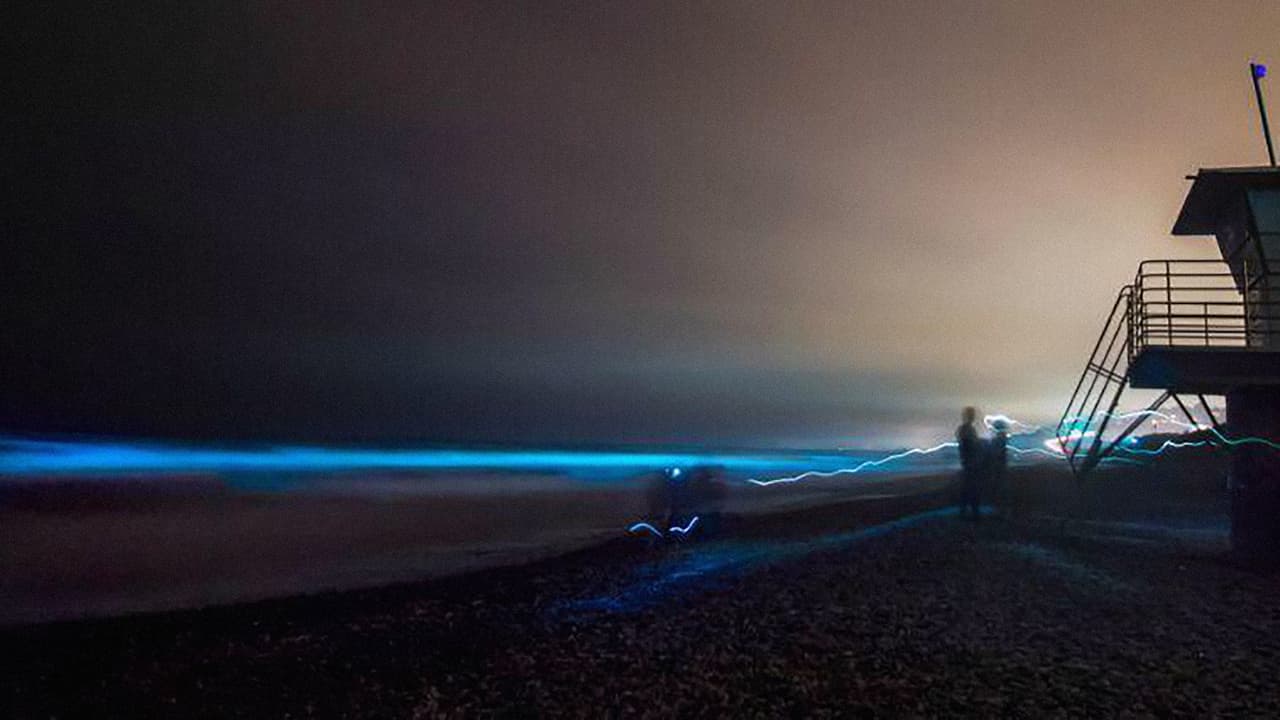 Además de California o Uruguay, fenómenos de este tipo pueden verse en Tasmania, Australia, o Ciudad del Cabo, Suráfrica.