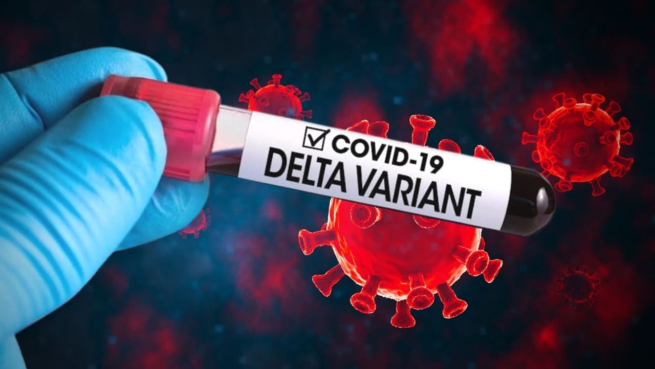 <b>¿Qué tan mala es la variante delta en comparación con otras cepas del virus? </b>La variante alfa, también conocida como variante del Reino Unido, según un estudio realizado por investigadores en Londres.