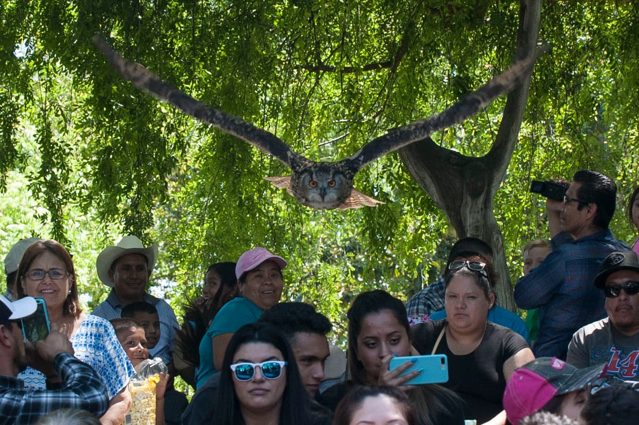 Un bello dia fue perfecto para las familias desde Bakersfield a Modesto.