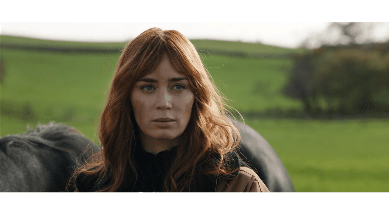 ‘Wild Mountain Thyme’