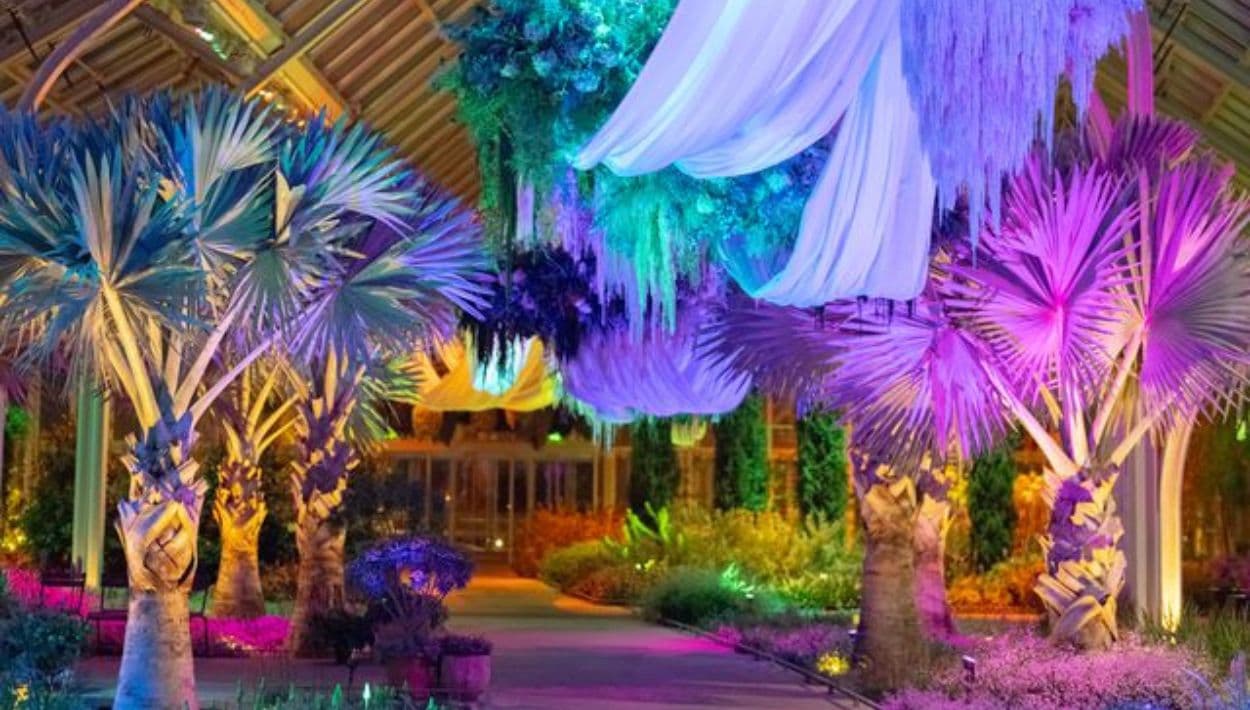 Suspended Dreamscape de Jennifer Reed