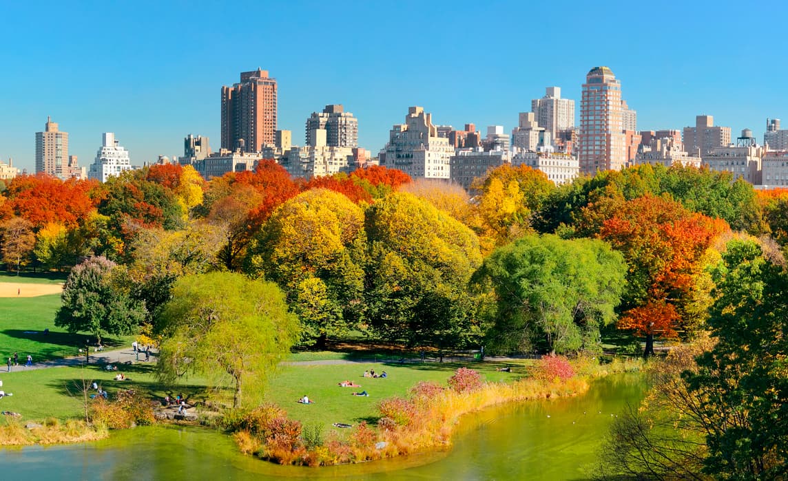 <b>Puesto 1. New York</b>
<br>
<br>Multimillonarios residentes: 86
<br>
<br>Valor neto combinado de los multimillonarios de la ciudad: 446,000 millones de dólares.
<br>
<br>El multimillonario más rico de la ciudad: Michael Bloomberg (54,900 millones de dólares). Fue alcalde de la ciudad y candidato a la nominación presidencial por el Partido Demócrata. Hizo la mayor parte de su riqueza como propietario del gigante del medio de información empresarial Bloomberg.
<br>