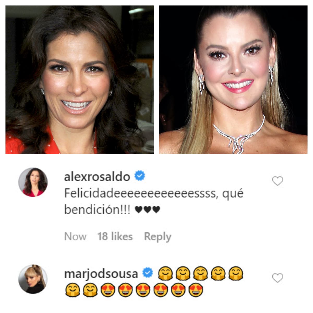 Algunas de las famosas que mandaron sus felicitaciones a la abuela y a los padres del nuevo bebé fueron 
<b><a href="https://www.univision.com/temas/alessandra-rosaldo" target="_blank">Alessandra Rosaldo</a> </b>y 
<b><a href="https://www.univision.com/temas/marjorie-de-sousa" target="_blank">Marjorie de Sousa. </a></b>
<br>