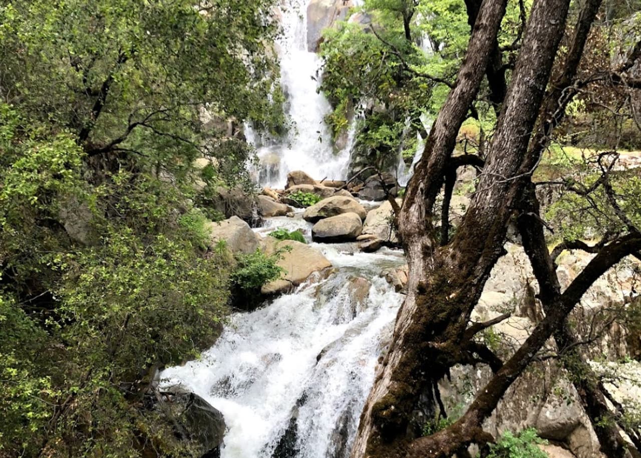 Un hombre muere ahogado tras caer a un riachuelo en el condado de Madera