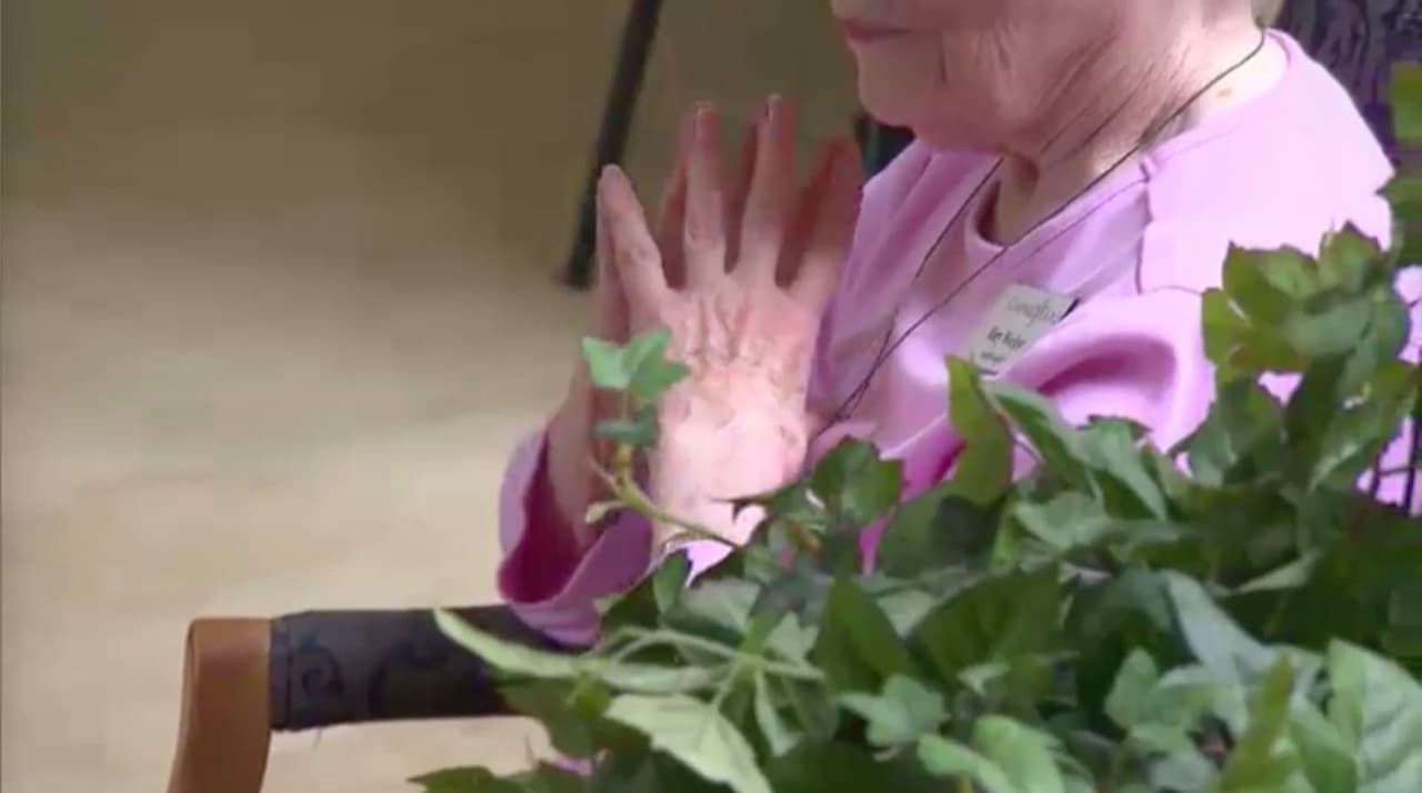 NY aprueba ley que hará más fácil demandar a hogares para ancianos por muertes de coronavirus