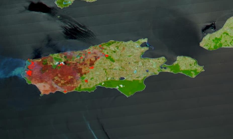 Los devastadores incendios forestales han arrasado con casi un tercio de la isla convirtiéndola en una tragedia ecológica.