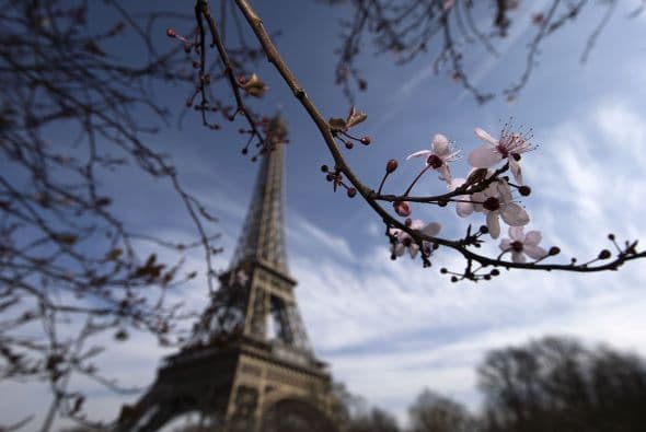 Mismas que aspiran a la modernización del monumento sin que se pierda su esencia.
