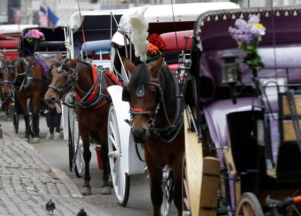 Se suspenden los paseos en carruajes tirados por caballos en Nueva York tras la muerte de un turista adolescente