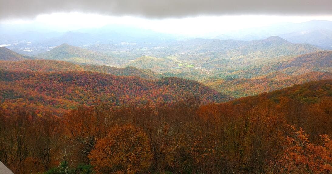 <b><a href="https://www.univision.com/local/atlanta-wuvg/mejores-puntos-en-georgia-para-ver-los-colores-del-otono-2022-fotos">MIRA TAMBIÉN: Así son los mejores puntos en Georgia para ver los colores del otoño 2022</a></b>