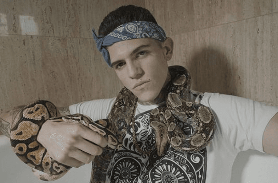 El último hijo, Nitro, es cantante de hip-hop y compositor. En una entrevista para 
<i><a href="https://www.informador.mx/Entretenimiento/Nitro-Goyri-punos-musicales-20160716-0103.html" target="_blank">El Informador</a></i> dijo que siempre le ha gustado escribir y que gracias a su hermano Sherlock se adentró en este género musical.