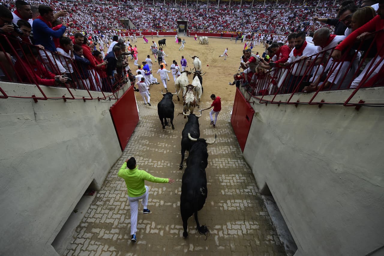 Reunir los toros por las calles de Pamplona se remonta al siglo XIII donde su objetivo era acorralar a los toros en un círculo de peleas. Los animales corrían a través de un estiramiento, como continúa ocurriendo en la actualidad. "Los toros siguen entrando por las mismas calles por las que entraban hace siglos y además aquí se encuentran los toros más importantes de todas las ganaderías", explica a Ignacio Murillo, especialista taurino del Diario de Navarra.
<br>Fotografía del
<b> 9 de julio de 2017</b> /MIGUEL RIOPA/ AFP/ Getty