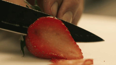 Todo transcurre en el emblemático café Crémerie-Restaurant Polidor en pleno París.