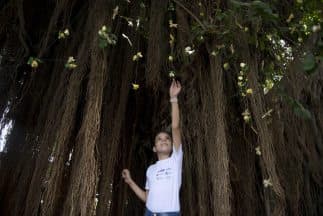 ¿Qué pensaba el Gabo de la educación?