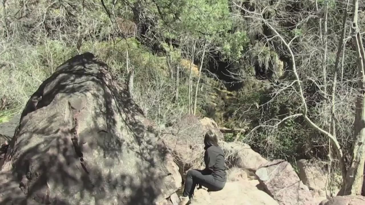 <h3 class="cms-H3-H3">El Puente Natural Tonto</h3>
<br>Este parque estatal ofrece hermosas vistas para los que gustan del senderismo y los más aventureros pueden explorar las profundidades del cañón.