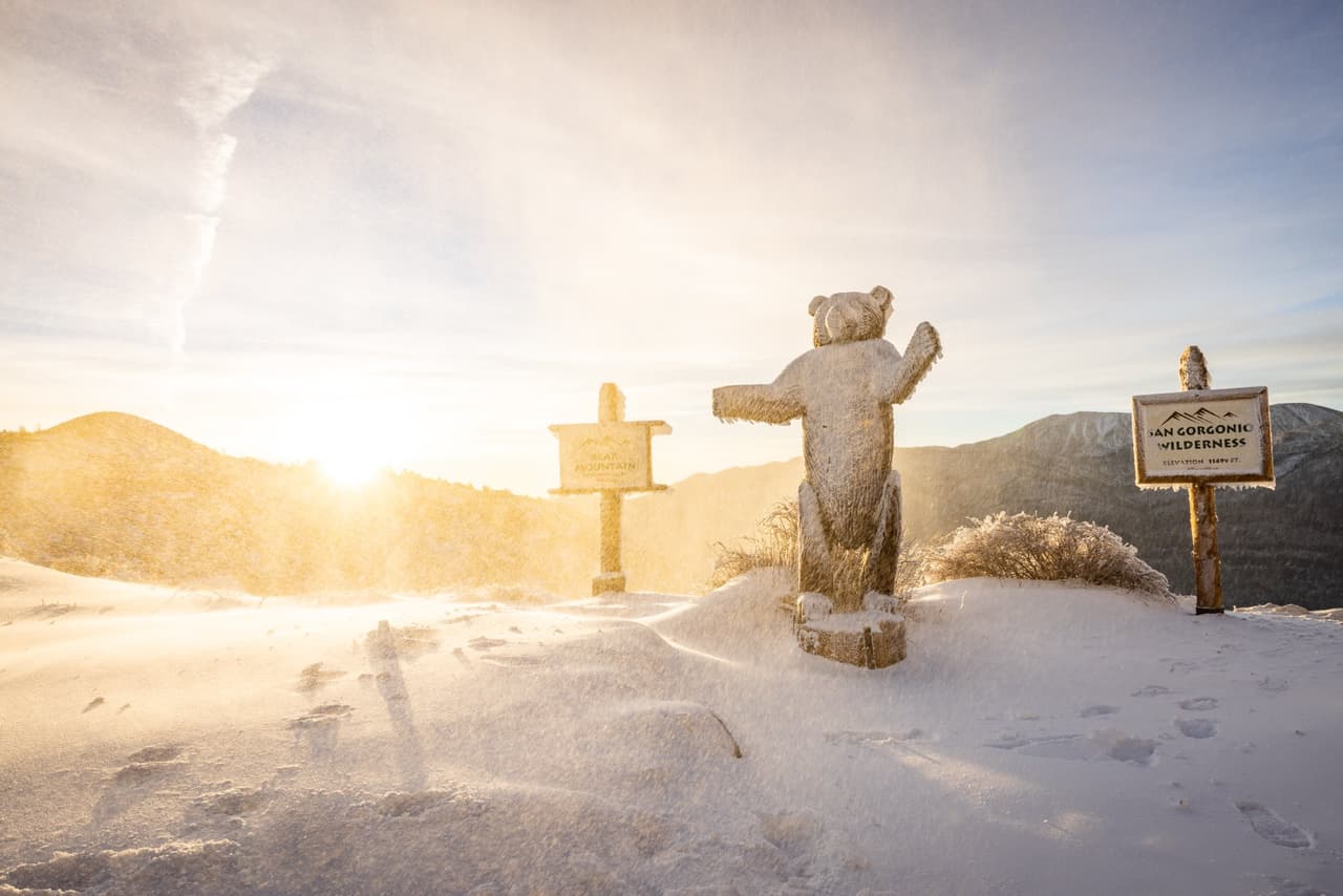 Durante los meses de invierno de 2020, en las montañas de California se registró solo 40 por ciento del total de los acumulados de nieve para la temporada, lo que agudizó los niveles de sequía.