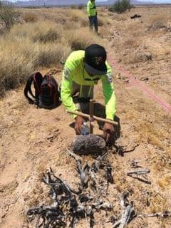 Dos de los hallazgos eran restos óseos, el otro era un cuerpo que al parecer había muerto recientemente.