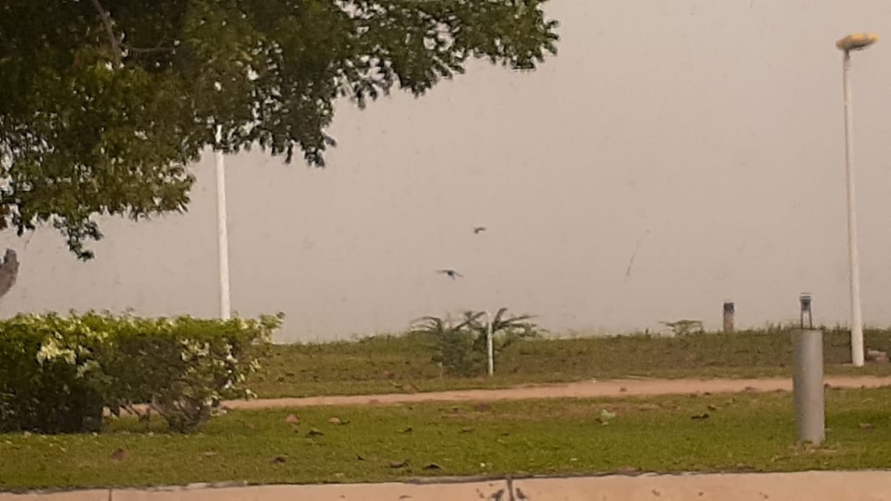 "La playa de Mayagüez no se puede ver", indicó la ciudadana Yachira Miranda, quien compartió la foto.