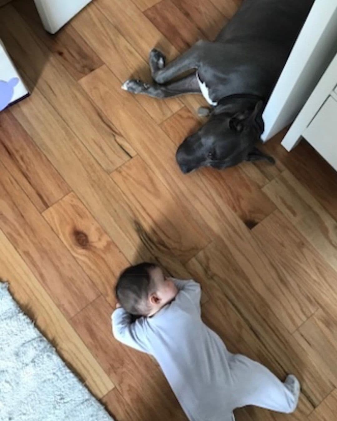 Luka, quien el pasado mes de mayo cumplió 3 años de vida, alcanzó a convivir con Perrou. La actriz compartió una foto de cómo el perrito lo custodiaba en sus primeros meses de vida.