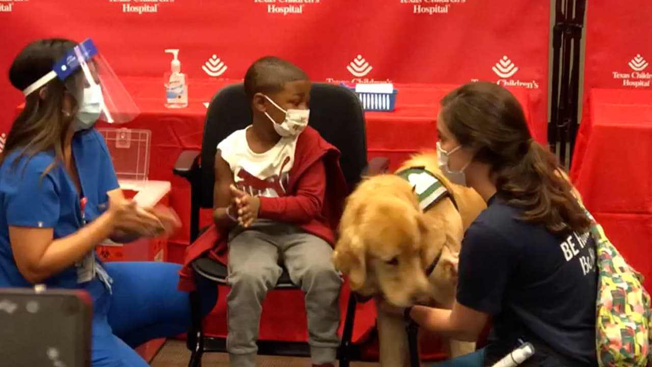 El pequeño Paxton es un estudiante de jardín y ha luchado contra la leucemia, fue el primero en recibir la
<b><a href="https://www.univision.com/local/houston-kxln/houston-texas-childrens-hospital-vacuna-covid-19-pfizer">vacuna. </a></b>