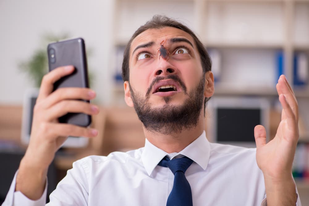 <h3 class="cms-H3-H3">Qué significa soñar con cucarachas vivas</h3>
<br>A diferencia de la interpretación anterior, que estén vivas significa que las situaciones que te preocupan en conjunto con miedos siguen presentes y las necesitas cambiar ¡ya!