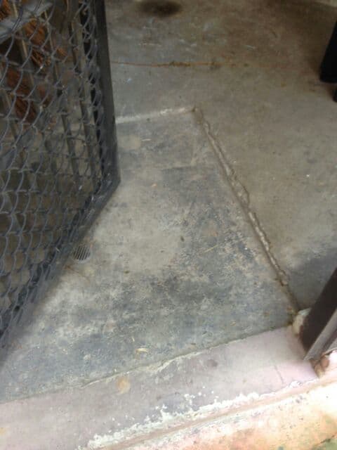 “Esta es una toma del ingreso a la zona de manejo interior, que en todo momento y sin excepción debe permanecer con el tapete sanitario debidamente acondicionado con productos desinfectantes, máxime si para la fecha contaban con un animal enfermo y sin diagnóstico presuntivo certero”.