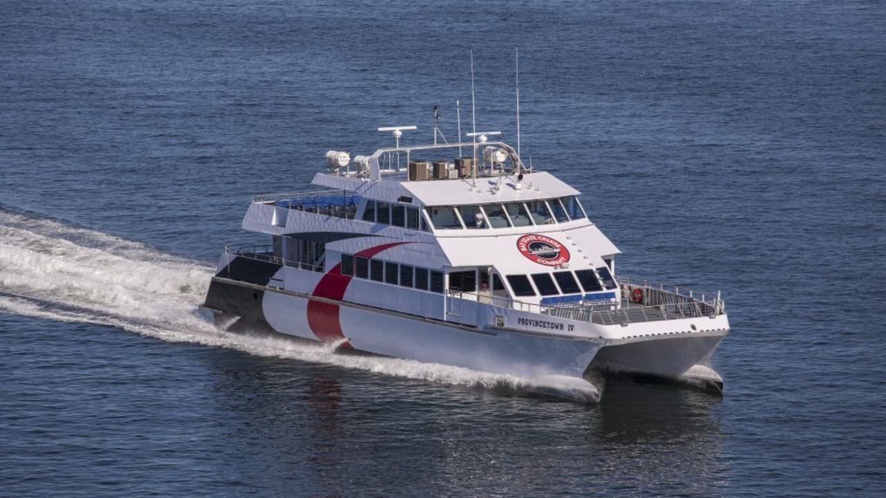 Adiós anticipado al ferry de St. Pete a Tampa: esto es lo que debes saber