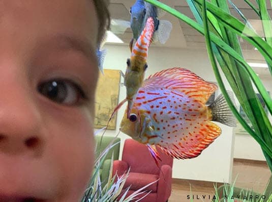 La actriz ha declarado en más de una ocasión que su hijo se convirtió en su gran amor: "La verdad es que León es increíble, cada día me enamoro más de mi bebé”, dijo en entrevista para 
<a href="https://peopleenespanol.com/celebridades/silvia-navarro-y-su-reto-como-mama/" target="_blank">People en Español</a>, en enero de 2017.
<br>