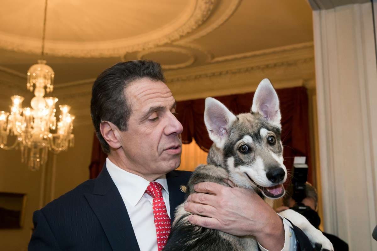 Cuomo se va de la residencia oficial, pero el perro Captain se queda
