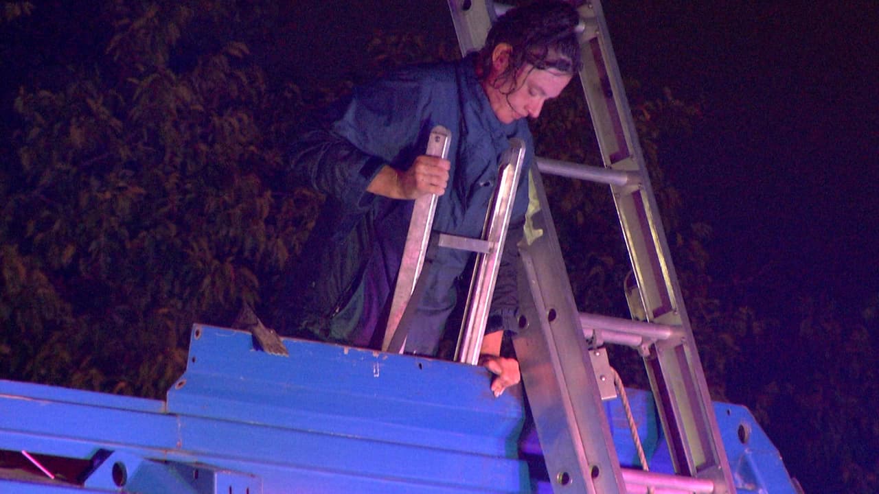 La mujer estaba durmiendo en un contenedor de basura y cuando un camión de recolección fue al lugar, la aventó hacia adentro.