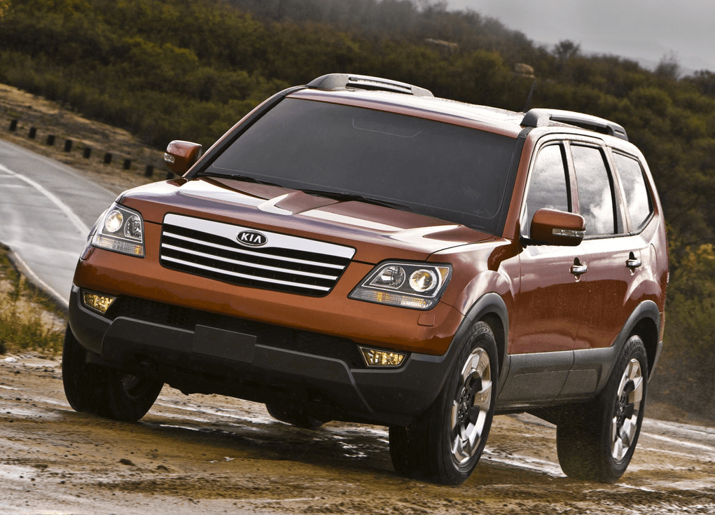 2.
<b>Kia BORREGO</b> 2009.
<br>
<br>Kia le dio este peculiar nombre a su SUV mediana sólo en EEUU, en honor al parque nacional Anza-Borrego en California. Probablemente sin saber que 'borrego', que normalmente es un cordero joven, se usa despectivamente también para designar a personas serviles y con poca iniciativa. La Kia Borrego, llamada Mohave en el resto del mundo, no fue particularmente exitosa y fue retirada después de solo un año en el mercado.