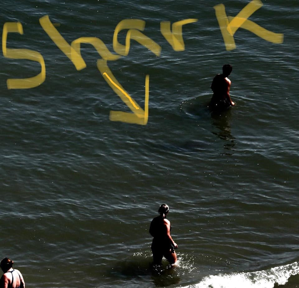 Tiburones en North Myrtle Beach