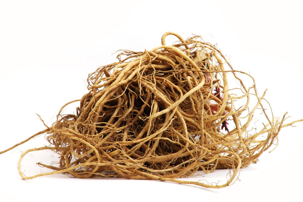 A nivel esotérico, también tiene unos usos bastante peculiares que van más allá de sus beneficios ante el nerviosismo o la ansiedad. Por ejemplo, hay quienes guardan una valeriana dentro de sus almohadas para ayudar a conciliar el sueño.