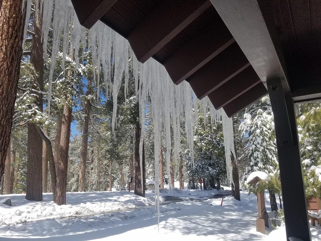 Pronostican tormenta invernal con relámpagos, nieve y temperaturas congelantes