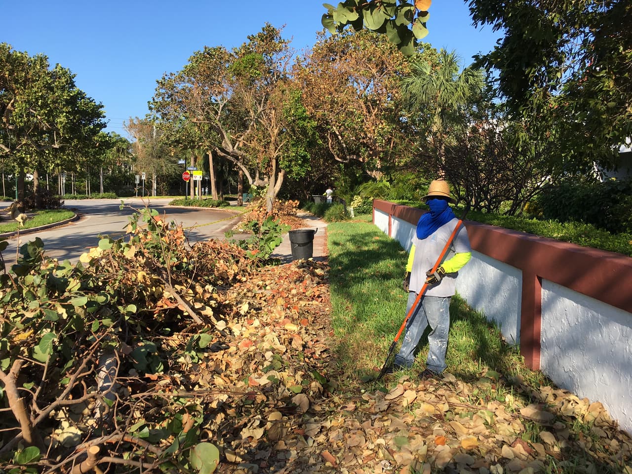 Nelson Rivera, 23, de El Salvador, limpiando los desechos generados por el huracán Irma en Key Biscayne. Foto de David Adams