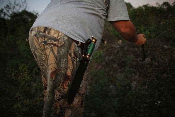 En Florida está prohibida tenencia o comercialización de las pitones birmanas, añadió Pino.