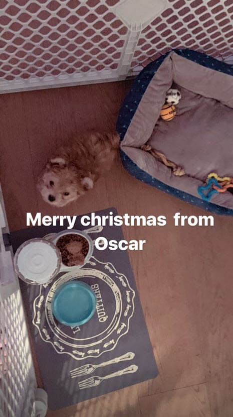 A través de sus respectivas cuentas en Instagram
<b>presentaron al pequeño Oscar</b>: "Feliz Navidad de parte de Oscar", escribió el cantante.