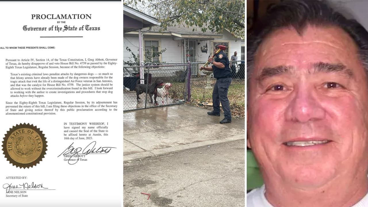 Veta Gobernador de Texas iniciativa que incrementaría penas a dueños de perros agresivos